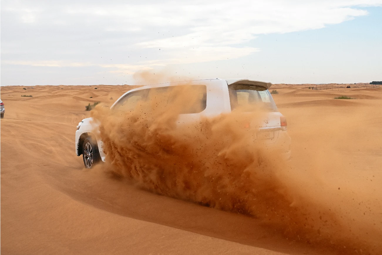 Corporate Desert Safari Dubai — Team Building — guest photo 3